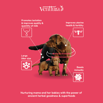 Venttura Lacto Plus Milk Boosters Chewable Tablets for Dogs