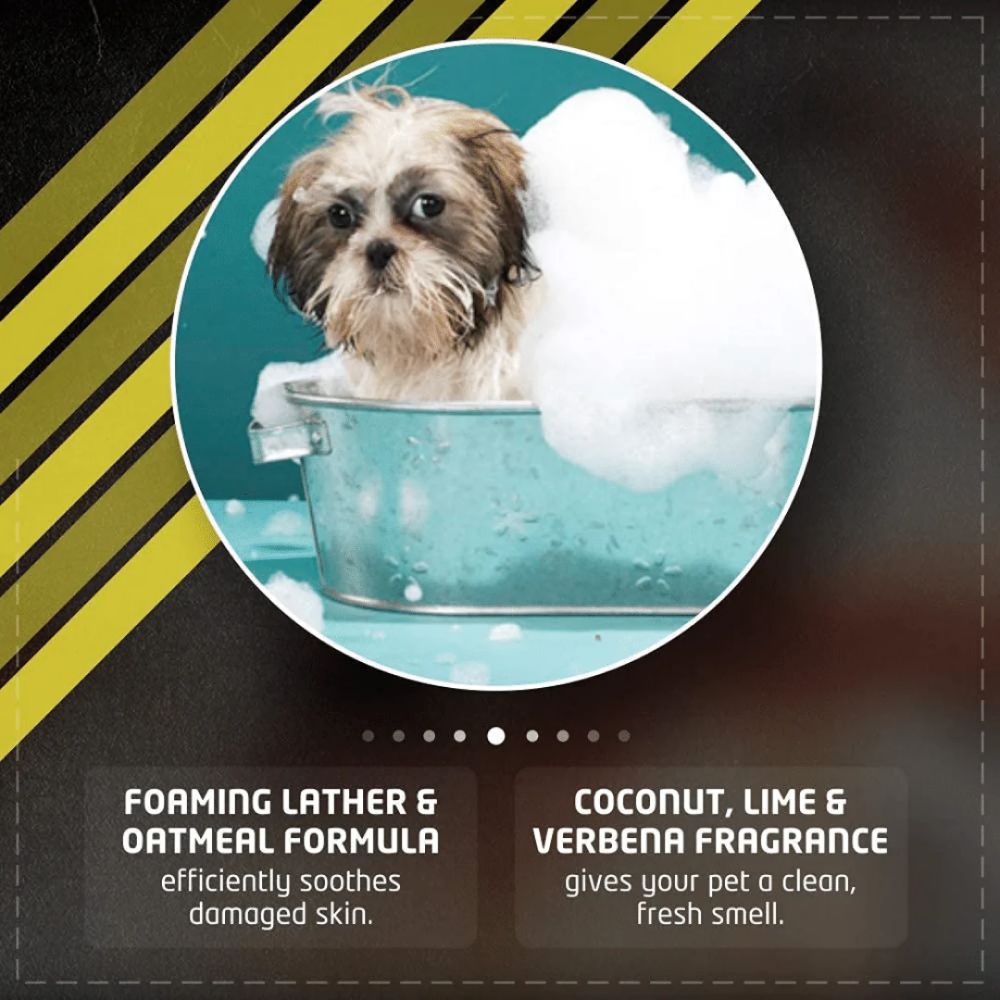 Wahl No Rinse Oatmeal Shampoo for Dogs