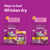 Whiskas Chicken Flavour Cat (Adult 1+) Dry Food Cats- Dry food Whiskas