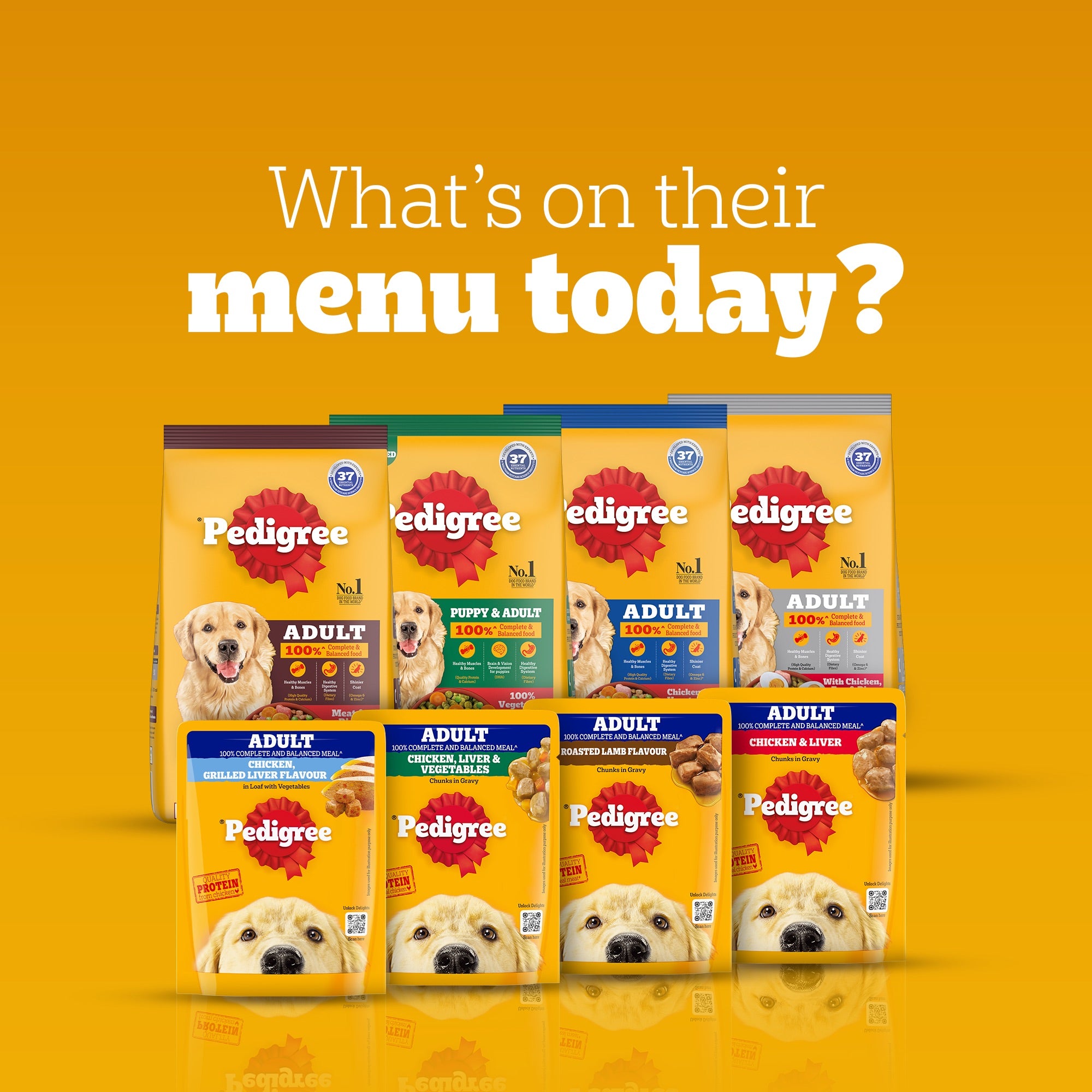 Pedigree Chicken and Liver Chunks in Gravy Adult Dog Wet Food (70g) Dogs-Wet Food Pedigree