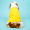 Pets Way Dive In Stripes Tshirt for Dogs (Yellow) Dogs-Clothing & Accessories Pets Way Dropship