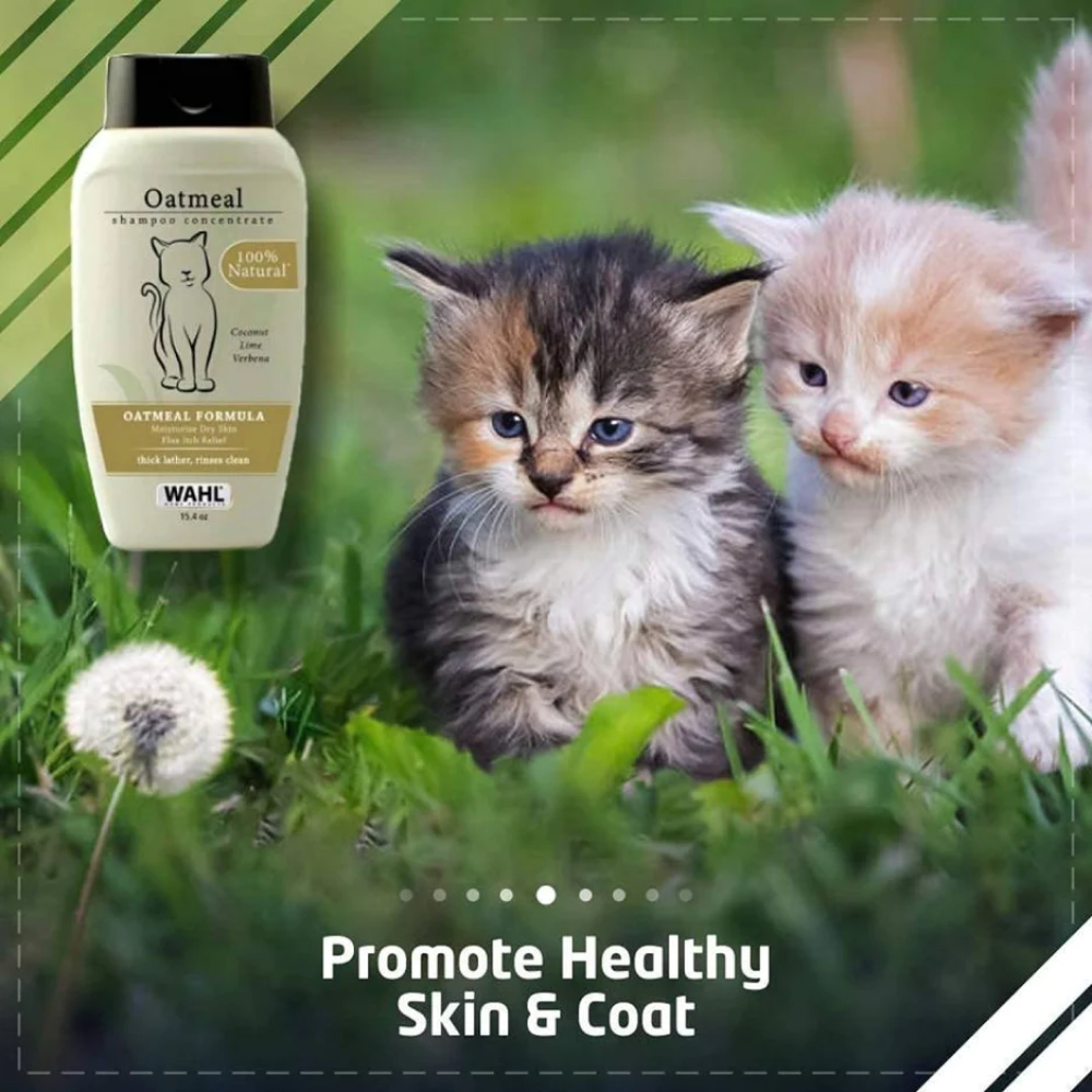 Wahl Shampoo for cats (Oatmeal)