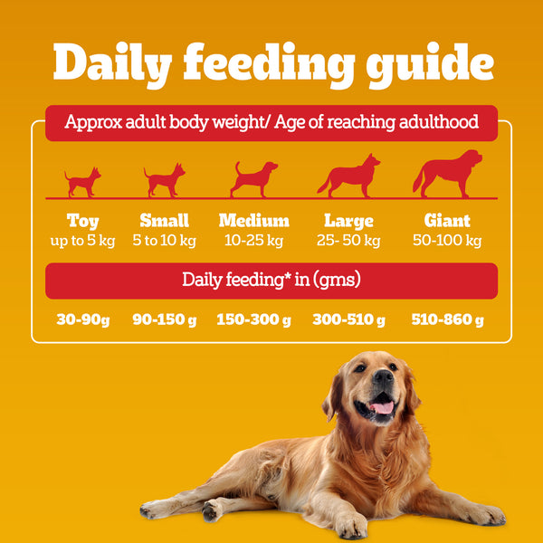 Pedigree Chicken and Vegetables Adult Dog Dry Food