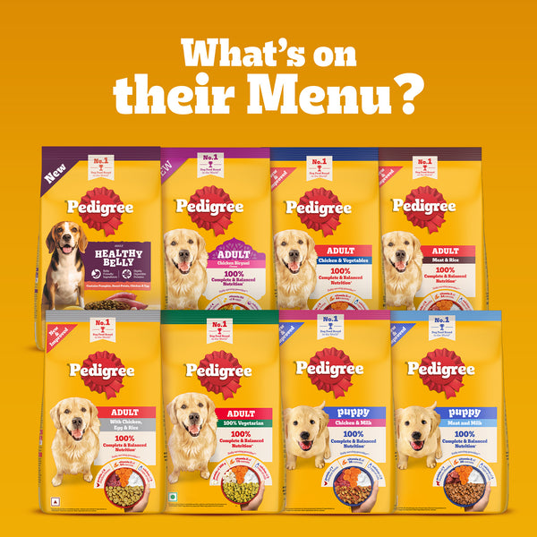 Pedigree 100% Vegetarian Adult Veg Dog Dry Food