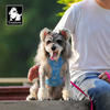 Truelove Ultra Light Harness & Leash Set for Small Dogs (Diva Blue) Both-Collar, Leashes, harnesses True Love