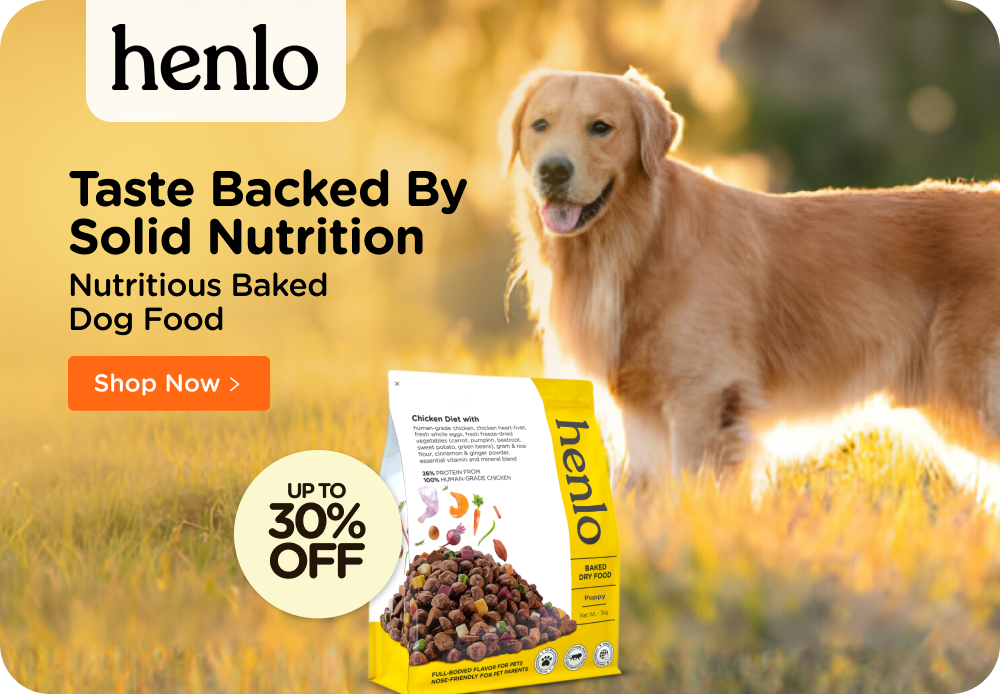 Meat up top dog food website