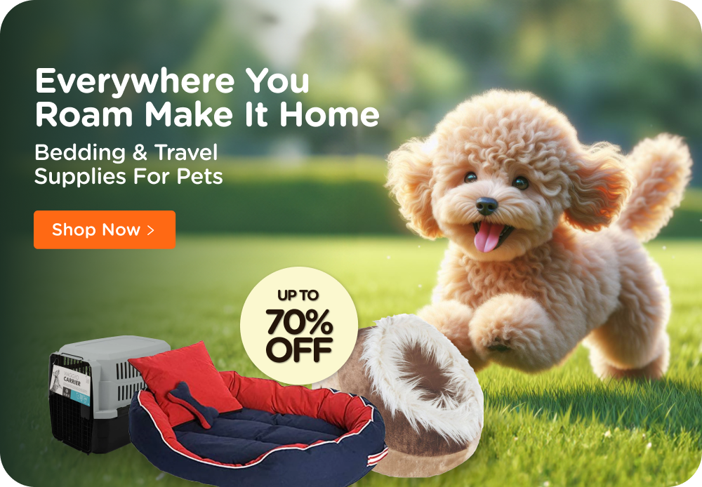 Dog stores online near me now