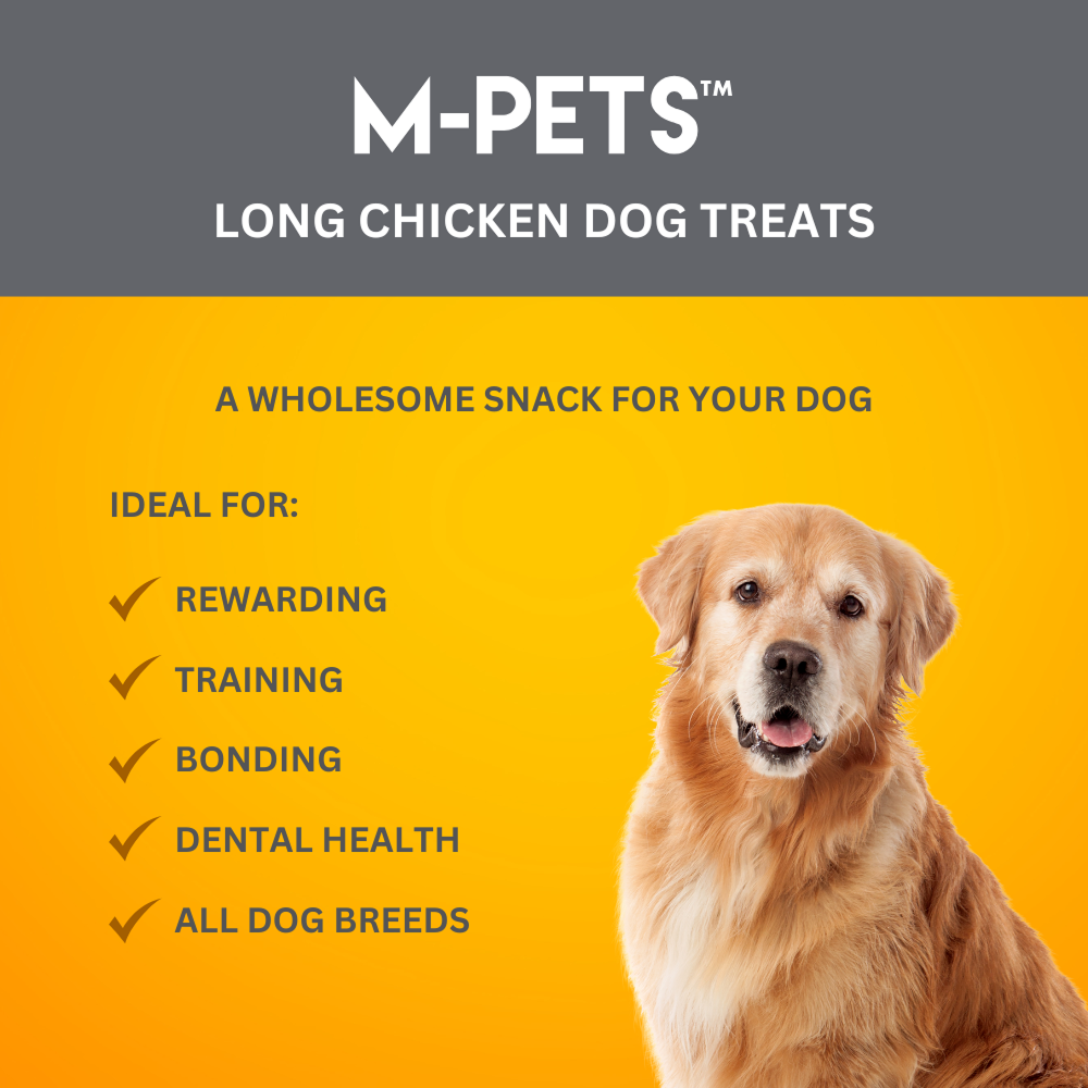 M PETS Long Chicken Treats for Dogs Dog Treats + Others M Pets