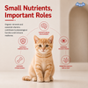 Drools Mackerel Kitten (1 to 12 Months) Cat Dry Food Cats- Dry food Drools