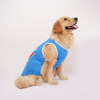 Skatrs Dilli Cuddlers Cricket Jersey for Dogs and Cats (Blue) Both-Clothing & Accessories Skatrs