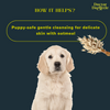 Doctor Doglittle Probiotic Sensitive Skin 2 in 1 Shampoo Conditioner for Dogs Dogs-Grooming Supplies Doctor Doglittle