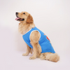Skatrs Dilli Cuddlers Cricket Jersey for Dogs and Cats (Blue) Both-Clothing & Accessories Skatrs