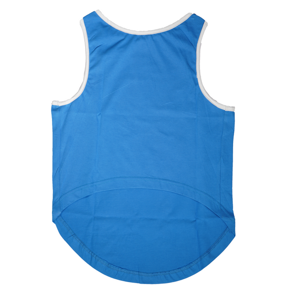 Skatrs Dilli Cuddlers Cricket Jersey for Dogs and Cats (Blue)
