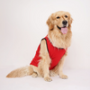 Skatrs Royal Cuddly Buddies Cricket Jersey for Dogs and Cats (Red) Both-Clothing & Accessories Skatrs