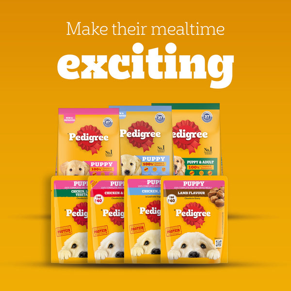 Pedigree Puppy Dog Food Combo |Meat & Milk Dry & Chicken & Liver Wet