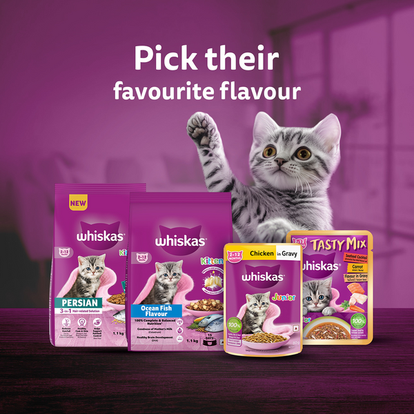 Whiskas Tuna in Jelly Kitten Cat Wet Food (80g)