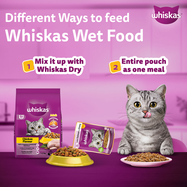 Whiskas Adult Cat Food Combo |Ocean Fish Dry & Salmon in Gravy Wet