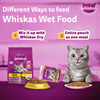 Whiskas Adult Cat Food Combo |Ocean Fish Dry & Salmon in Gravy Wet Cats- Dry food Whiskas