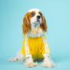 Pets Way Dive In Stripes Tshirt for Dogs (Yellow) Dogs-Clothing & Accessories Pets Way Dropship XS