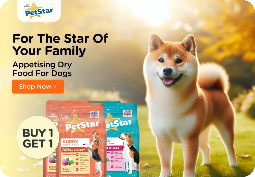 Dog 2024 buying shop