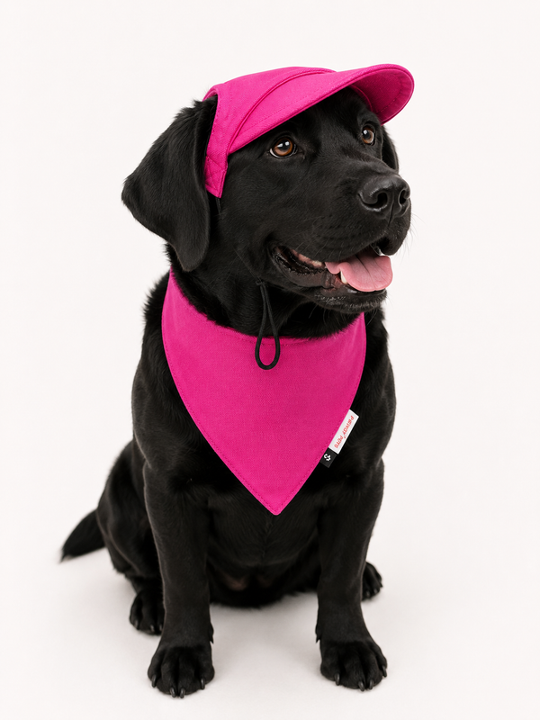 Pawgypets Cap and Bandana Set for Dogs and Cats (Hot Pink)