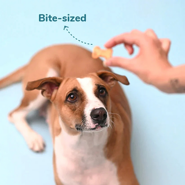 HUFT YIMT Banana and Peanut Butter Biscuits for Dogs