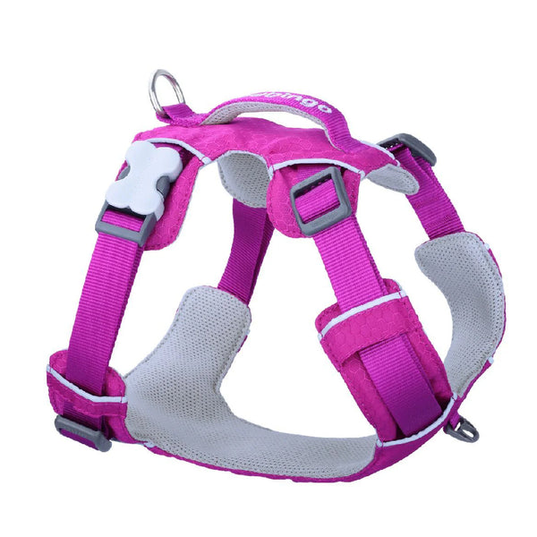 Red Dingo Sport Harness for Dogs (Fuchsia)