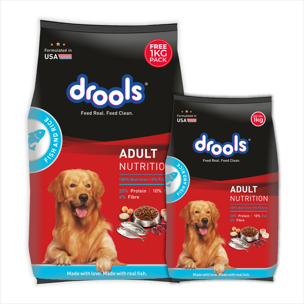Drools Fish and Rice Adult Dog Dry Food