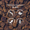 Homiee & Ginger Grain Free Air Dried Puppy & Adult Dog Dry Food Dogs- Dry Food Homiee & Ginger