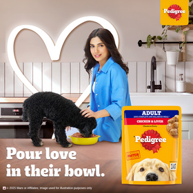 Pedigree PRO Large Breed Puppy Dry Food, Pedigree Chicken Liver Gravy Adult Dog Wet Food Combo Exclusive Combo Exclusive Combo