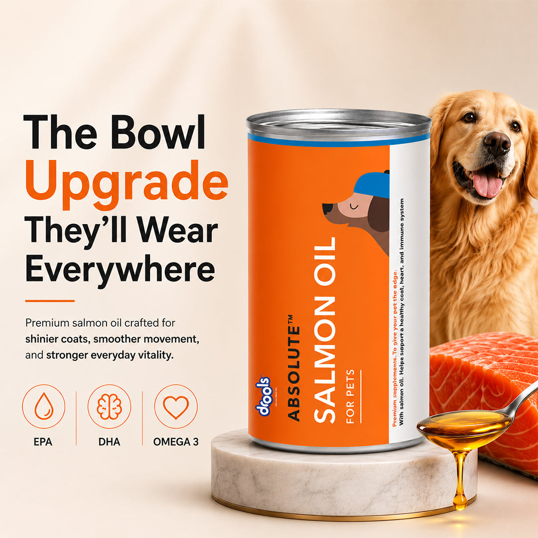 Drools Absolute Salmon Oil Syrup Supplement for Dogs Dogs-Health & Wellness Drools