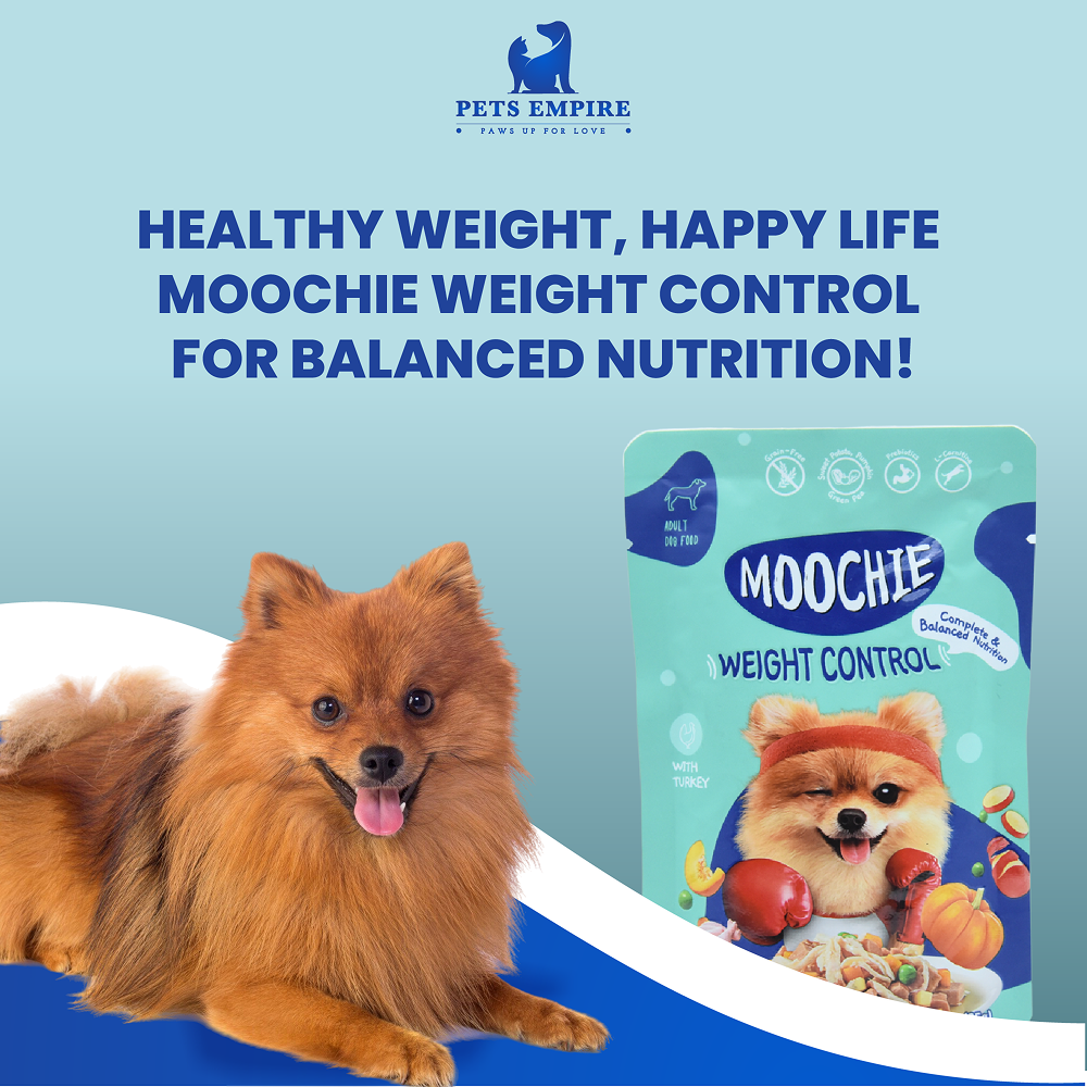 Moochie Weight Control Casserole with Turkey Gravy Adult Dog Wet Food Dogs-Wet Food Moochie