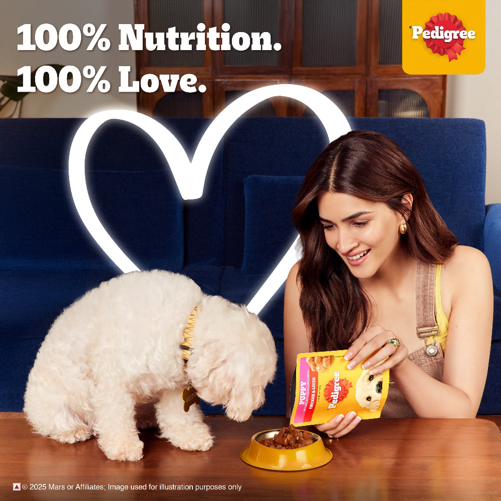 Pedigree Lamb Flavour Chunks in Gravy Puppy Wet Food Dogs-Wet Food Pedigree