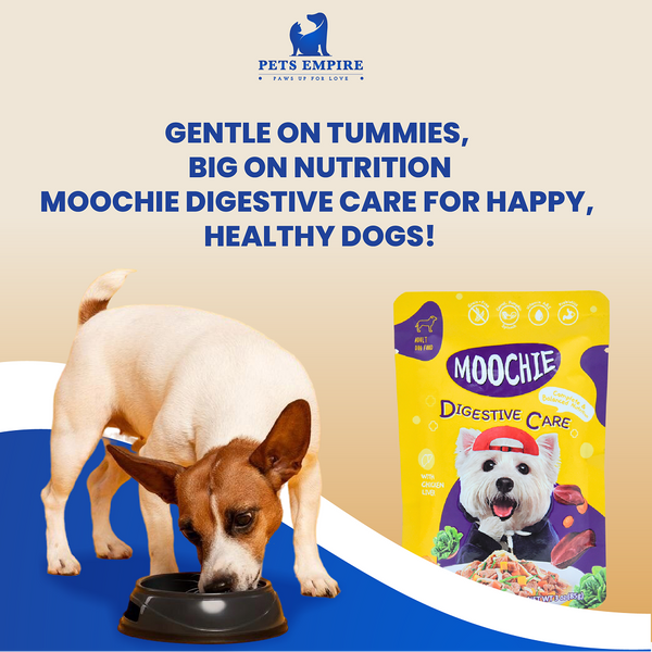 Moochie Digestive Care Casserole with Chicken Liver Gravy Adult Dog Wet Food