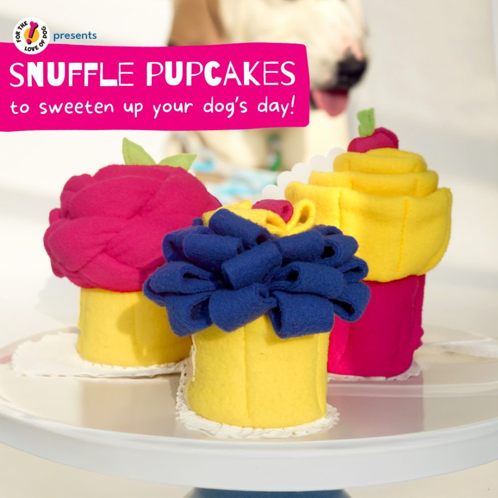 For The Love Of Dog Box of 3 Snuffle Pupcake Toy for Dogs