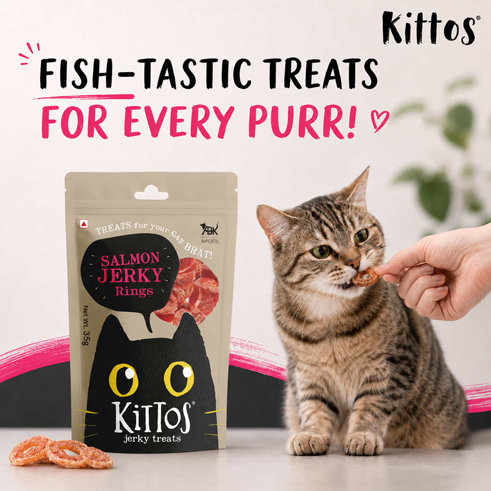 Kittos Purr Fect Salmon Rings Cat Treats Cats-Treats & Others Kittos
