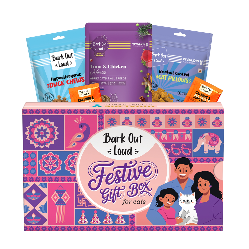 Bark Out Loud Festive Gift Box for Cats Cats-Treats & Others Bark Out Loud Pack of 5