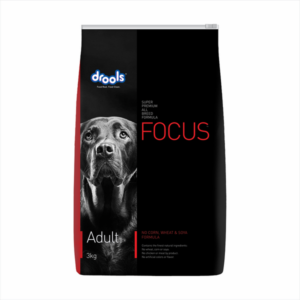 Drools Focus Super Premium Adult Dog Dry Food | Corn & Wheat Free Formula
