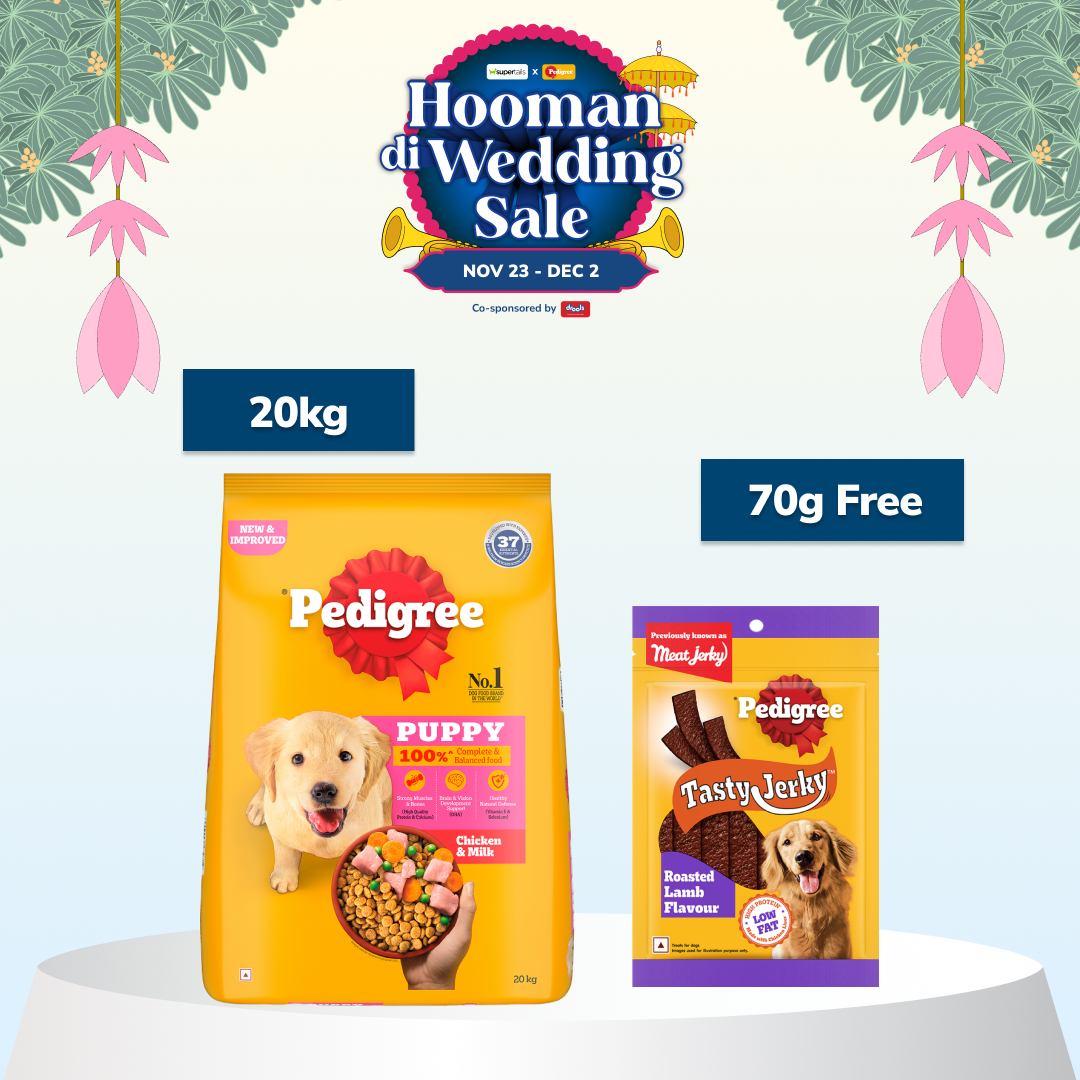 Pedigree Chicken and Milk Puppy Dog Dry Food