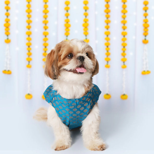 Pet Set Go Kurta with Bowtie for Dogs (Blue)