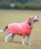 Pet Set Go Cable Knit Sweater for Dogs (Peach) Dogs-Clothing & Accessories Pet Set Go Dropship