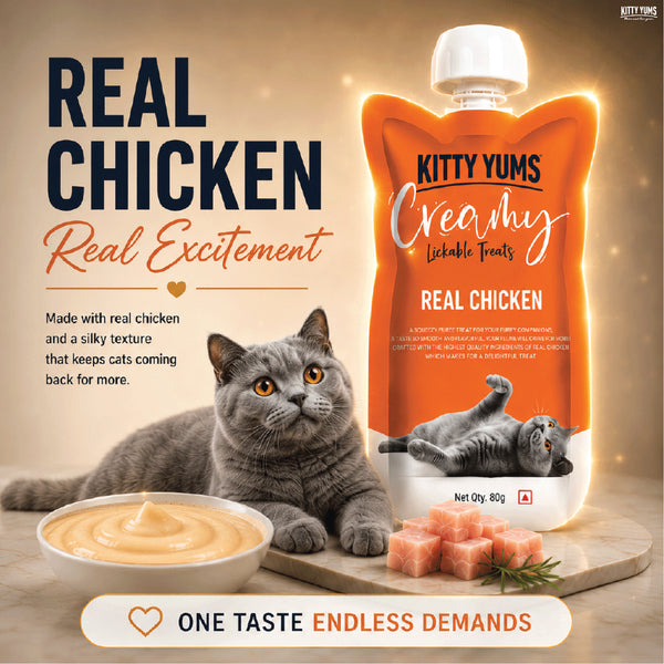 Kitty Yums Lickable Real Chicken Creamy Cat Treat