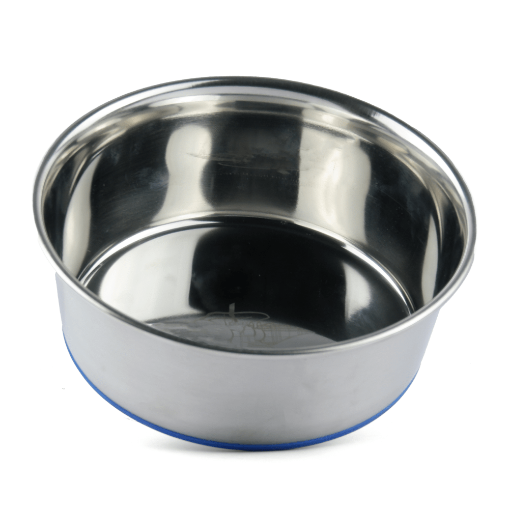 Durapet Stainless Steel Bowl and GiGwi Melody Chaser with Motion Activated Sound Chip Hedgedog Toy for Cats Combo