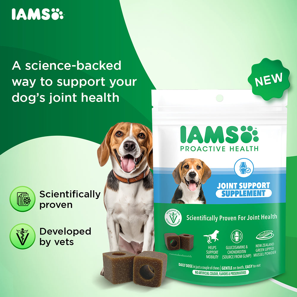 IAMS Proactive Health Dog Supplement For Joint Support