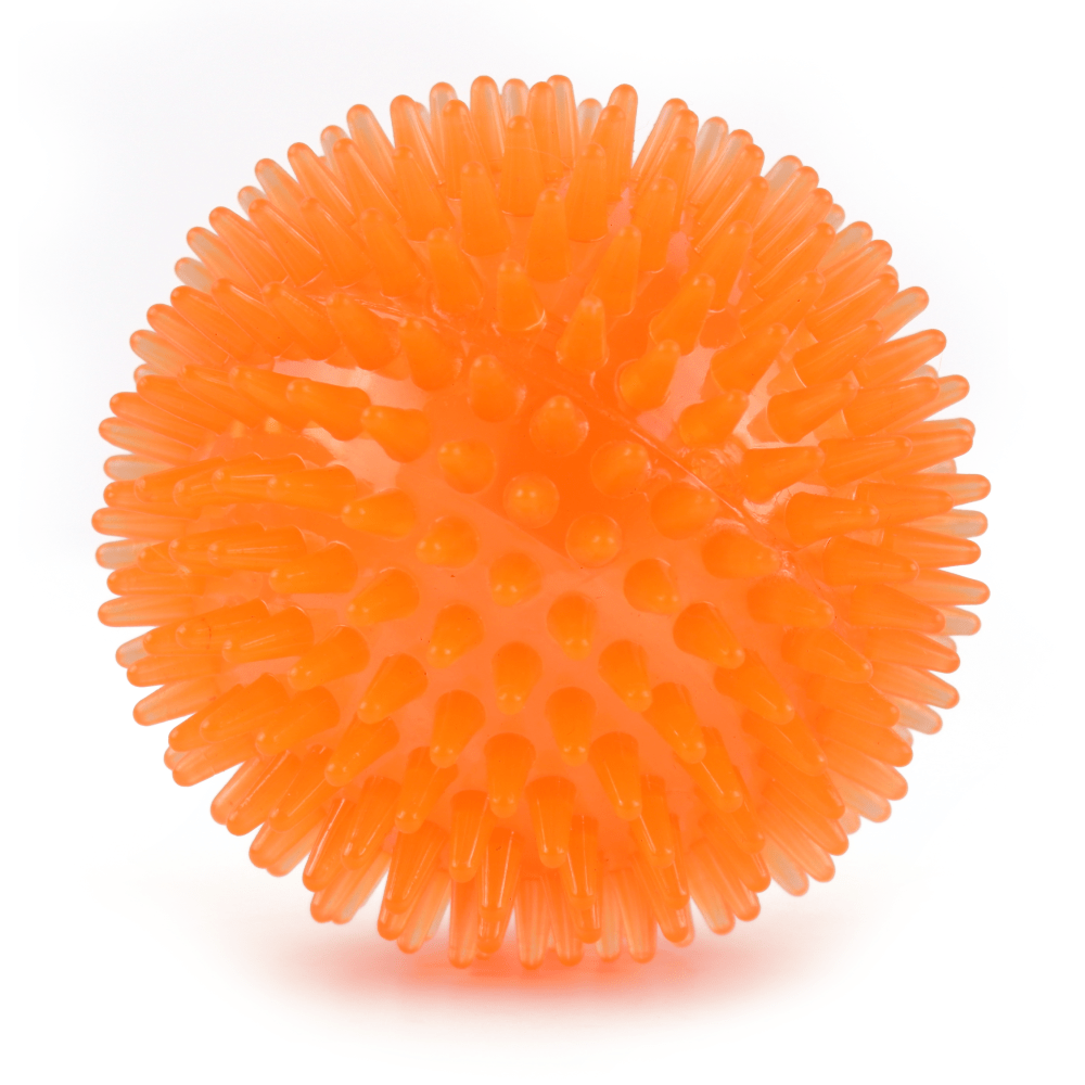 Pedigree Roasted Lamb Tasty Jerky Treat, Pet Vogue Dog-Shaped Plush Toy, & Trixie Hedgehog Ball Vinyl Toy Combo for Dogs