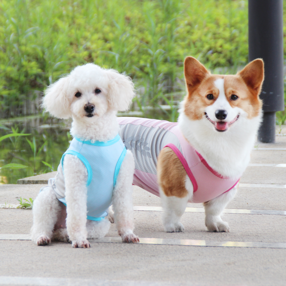 Talking Dog Club Coolios Cooling Vests for Dogs (Pink)