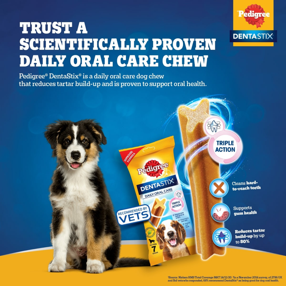 Pedigree Dentastix Oral Care for Adult (Medium Breed of 10 to 25 kg) Dog Treats (77g)