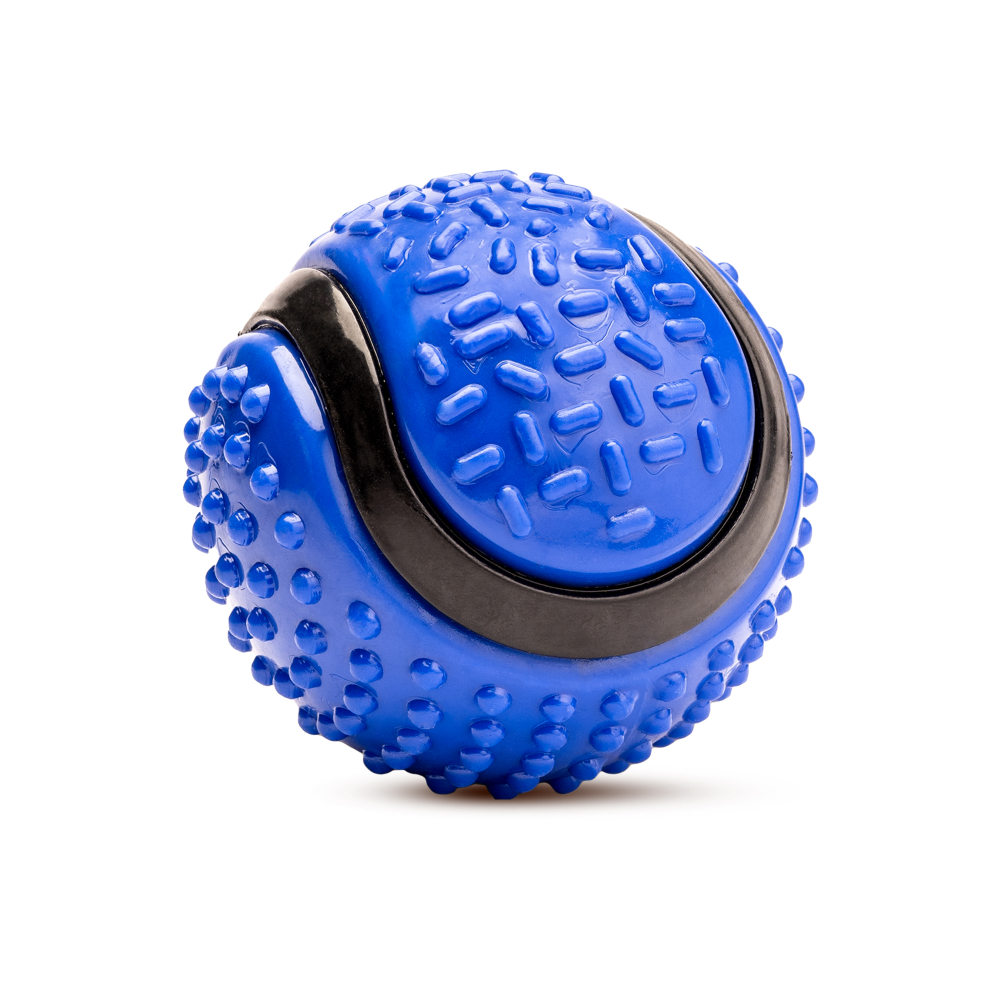 Kibbo Non Toxic Dotted Rubber Big Ball Chew Toy for Dogs and Cat (Blue) Both-Toys Kibbo 10cm