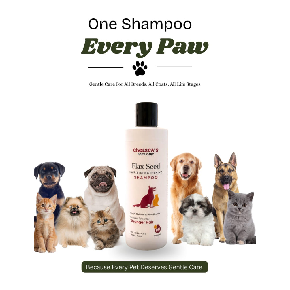 Dr. Chelsea’s Flax Seed Hair Strengthening Shampoo for Dogs & Cats Both-Grooming Supplies Dr. Chelsea's Dropship