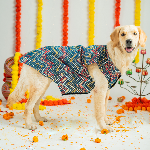 Pet Set Go Sherwani for Dogs (Blue)